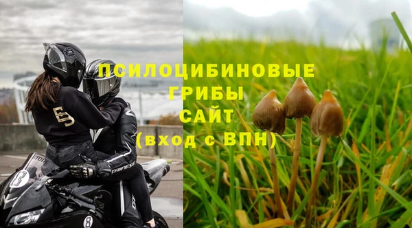 МДМА Бородино