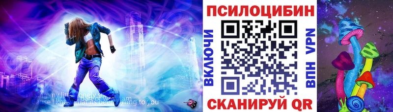 Купить где  Кукмор  Псилоцибиновые грибы Magic Shrooms 